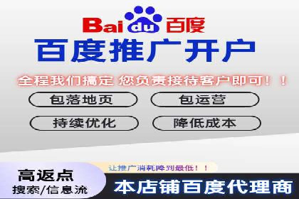 SEO与SEM融合策略：成功案例解析